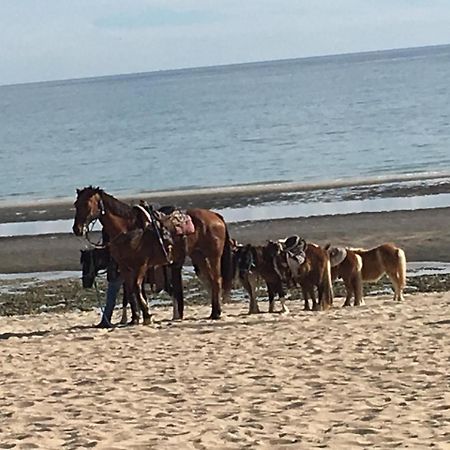 شقة Puerto Peñasco  في Sunny Daze المظهر الخارجي الصورة
