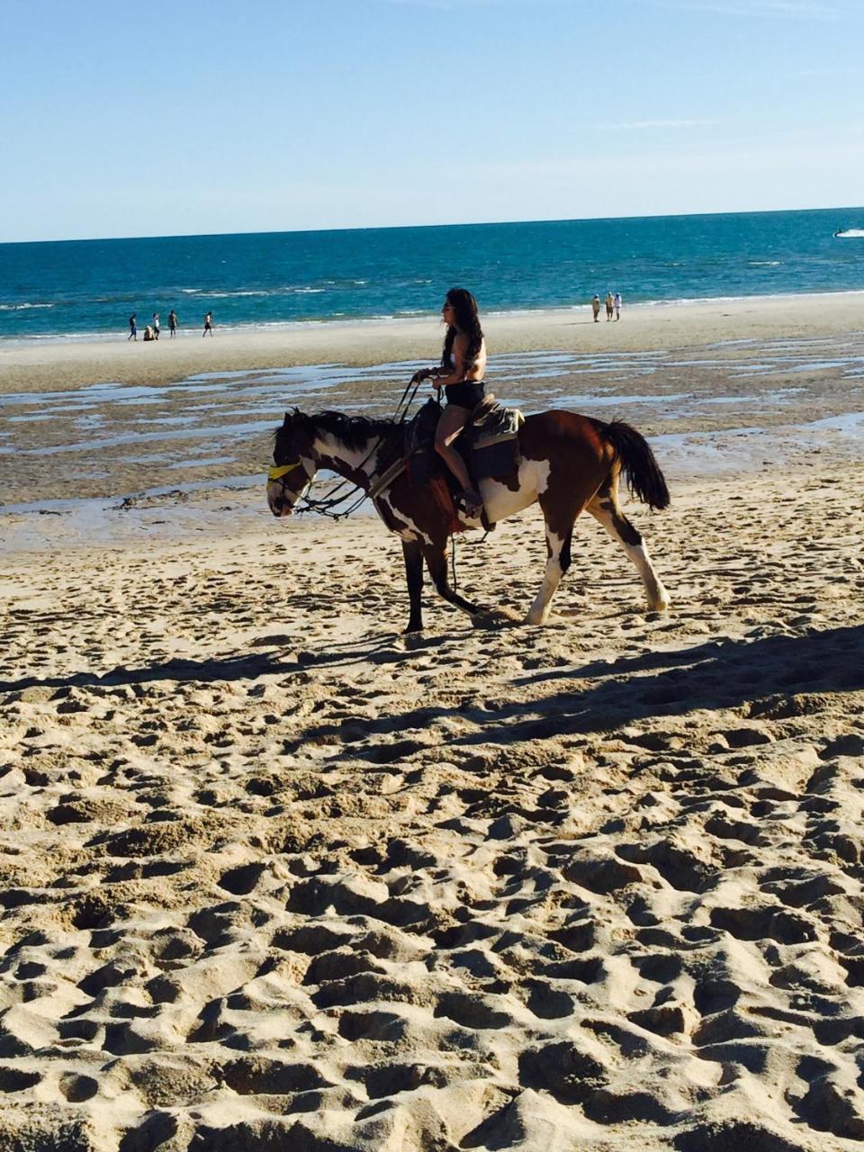 شقة Puerto Peñasco  في Sunny Daze المظهر الخارجي الصورة
